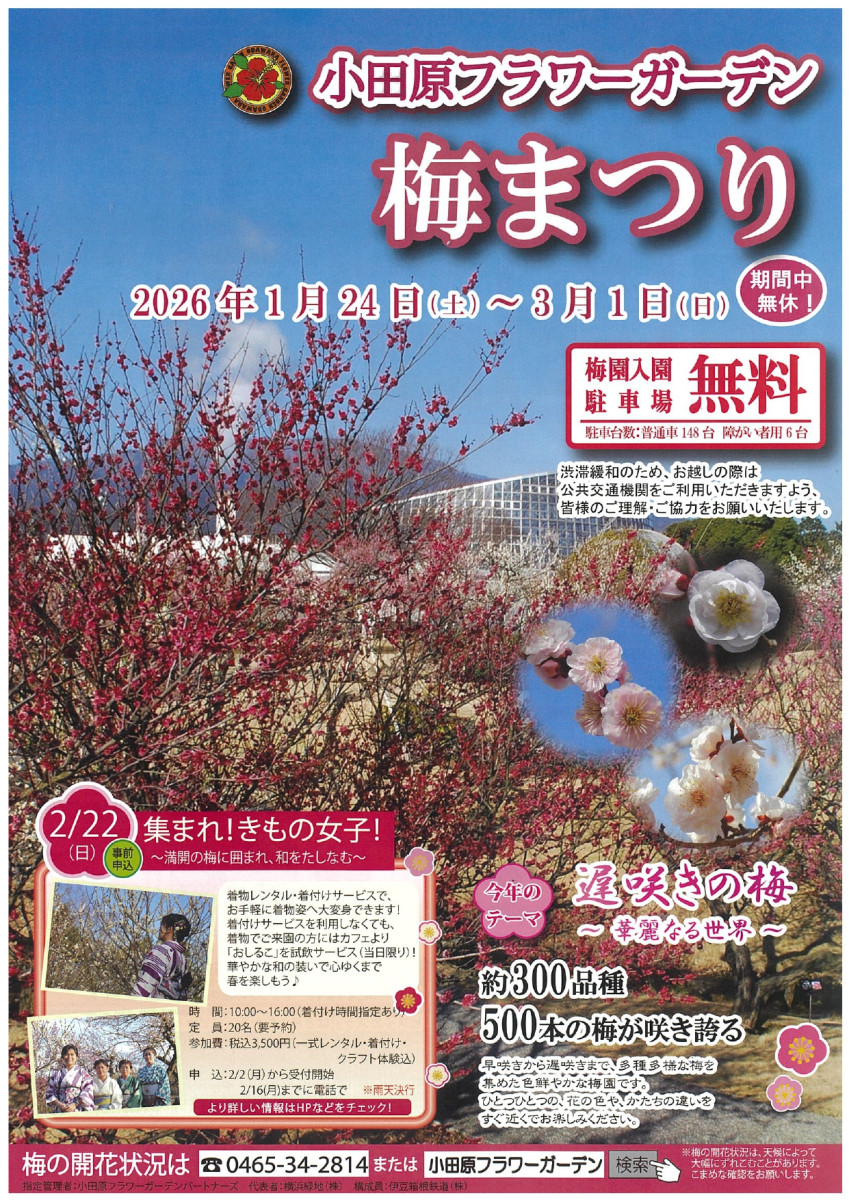 神奈川 梅 の 名所
